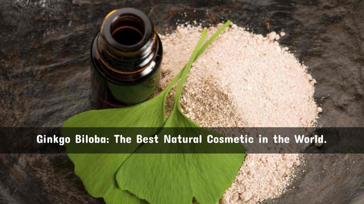 The Ginkgo Biloba: The Best Natural Cosmetic in the World.