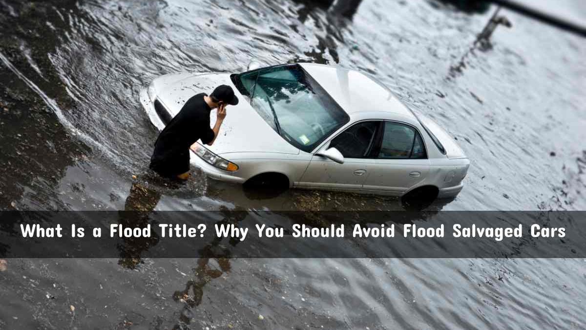What Is a Flood Title? Why Should Avoid Flood Salvaged Cars