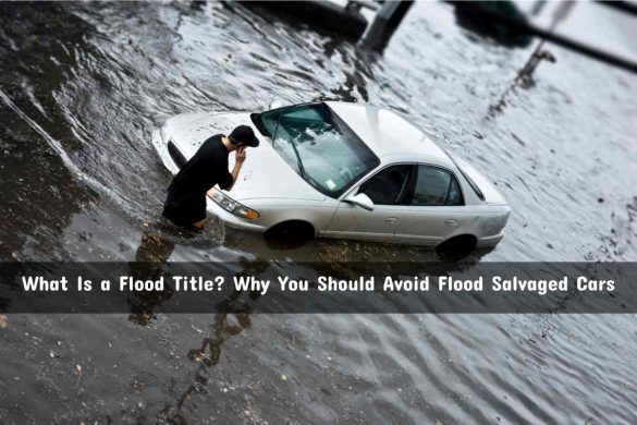 What Is a Flood Title_ Why You Should Avoid Flood Salvaged Cars